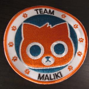 Maliki Blog (Super Collector) (15)